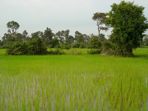 Irrigation well